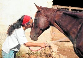 Con 'Jefa' en Menorca. Mariona Fernández, con su yegua 'Jefa': «De pequeña yo quería que los animales me acogieran».