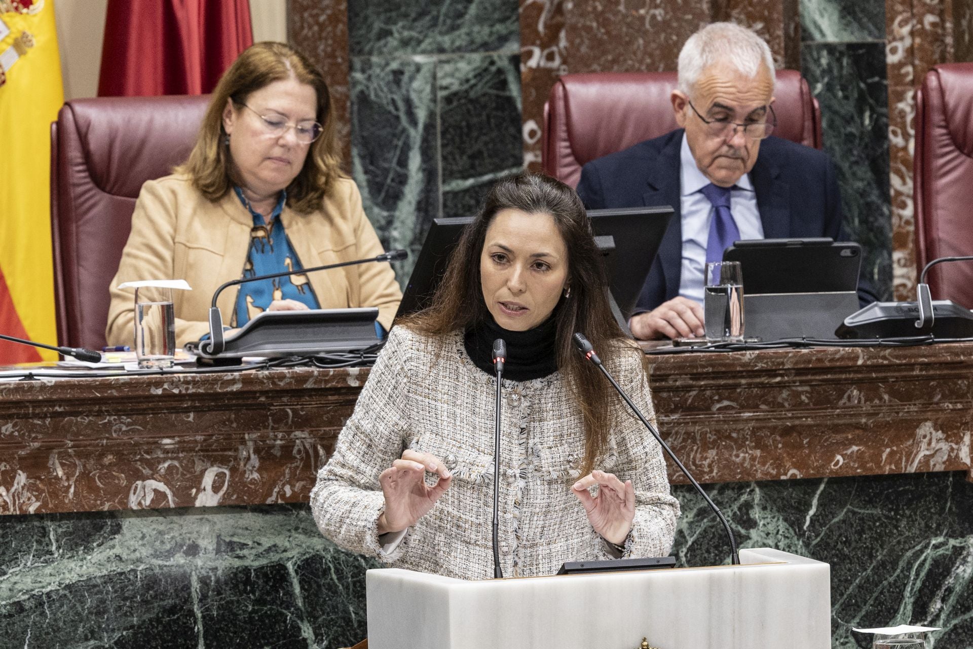 El Pleno de la Asamblea Regional de este viernes, en imágenes