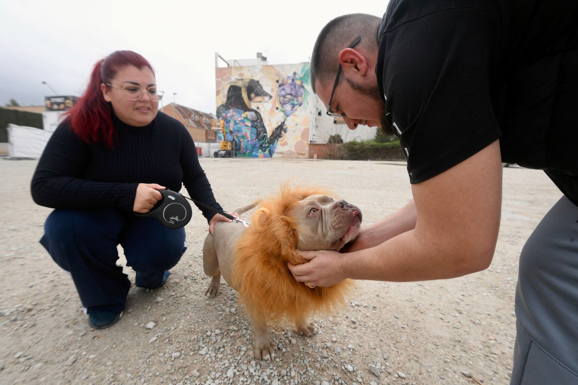 El Carnaval de mascotas de Cabezo de Torres, en imágenes