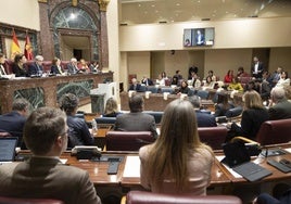 Sesión del Pleno de la Asamblea el pasado mes de febrero.