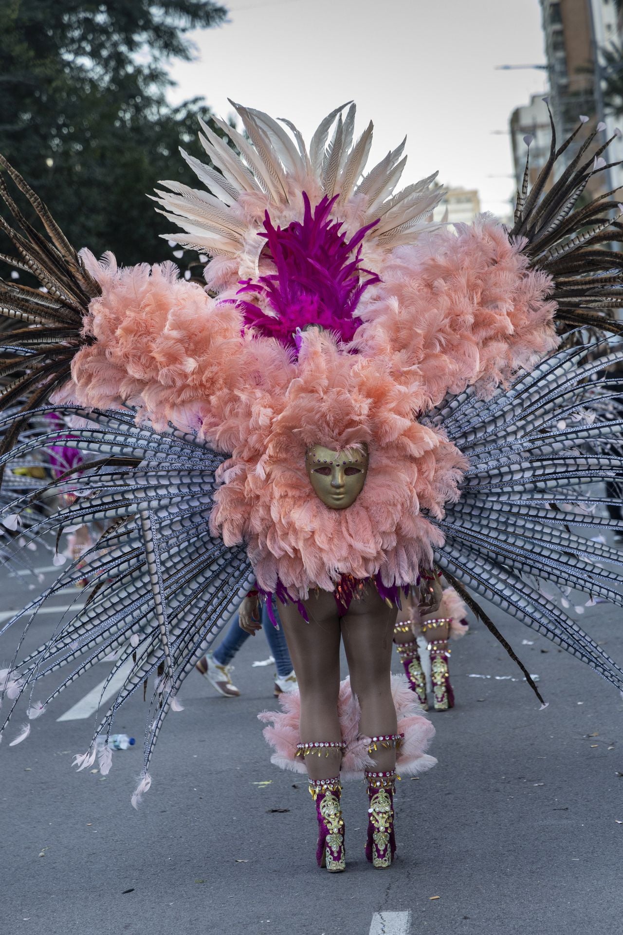 Las imágenes del desfile de Carnaval en Cartagena