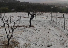 El granizo que dejó la tormenta, este domingo, en Yecla.