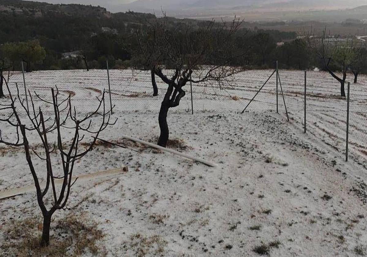 El granizo que dejó la tormenta, este domingo, en Yecla.