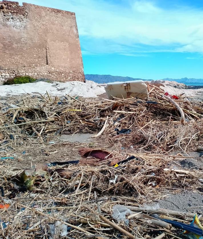 Imagen secundaria 2 - Plásticos y restos vegetales en playas del litoral aguileño.