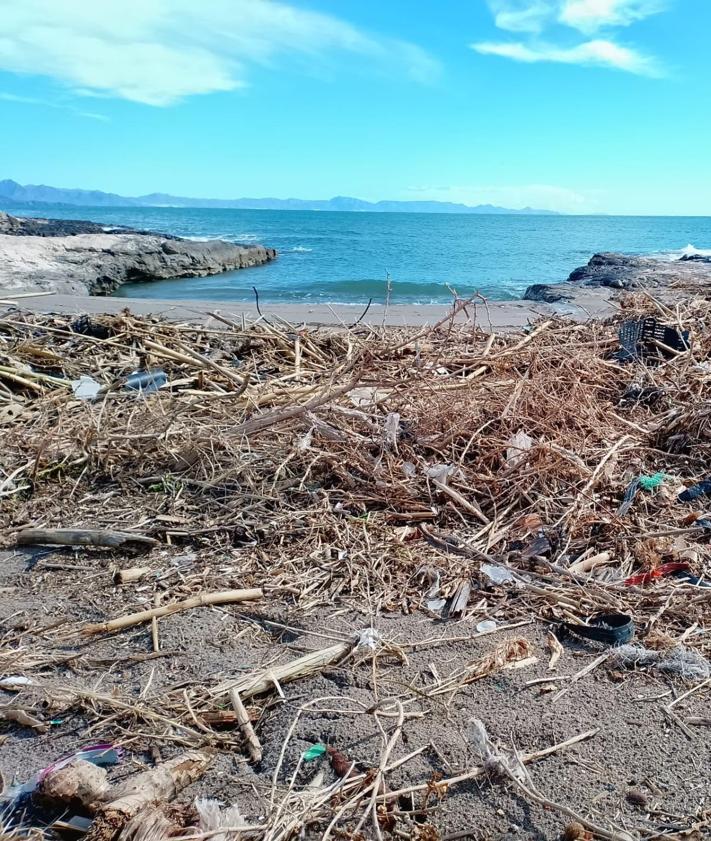 Imagen secundaria 2 - Plásticos y restos vegetales en playas del litoral aguileño.