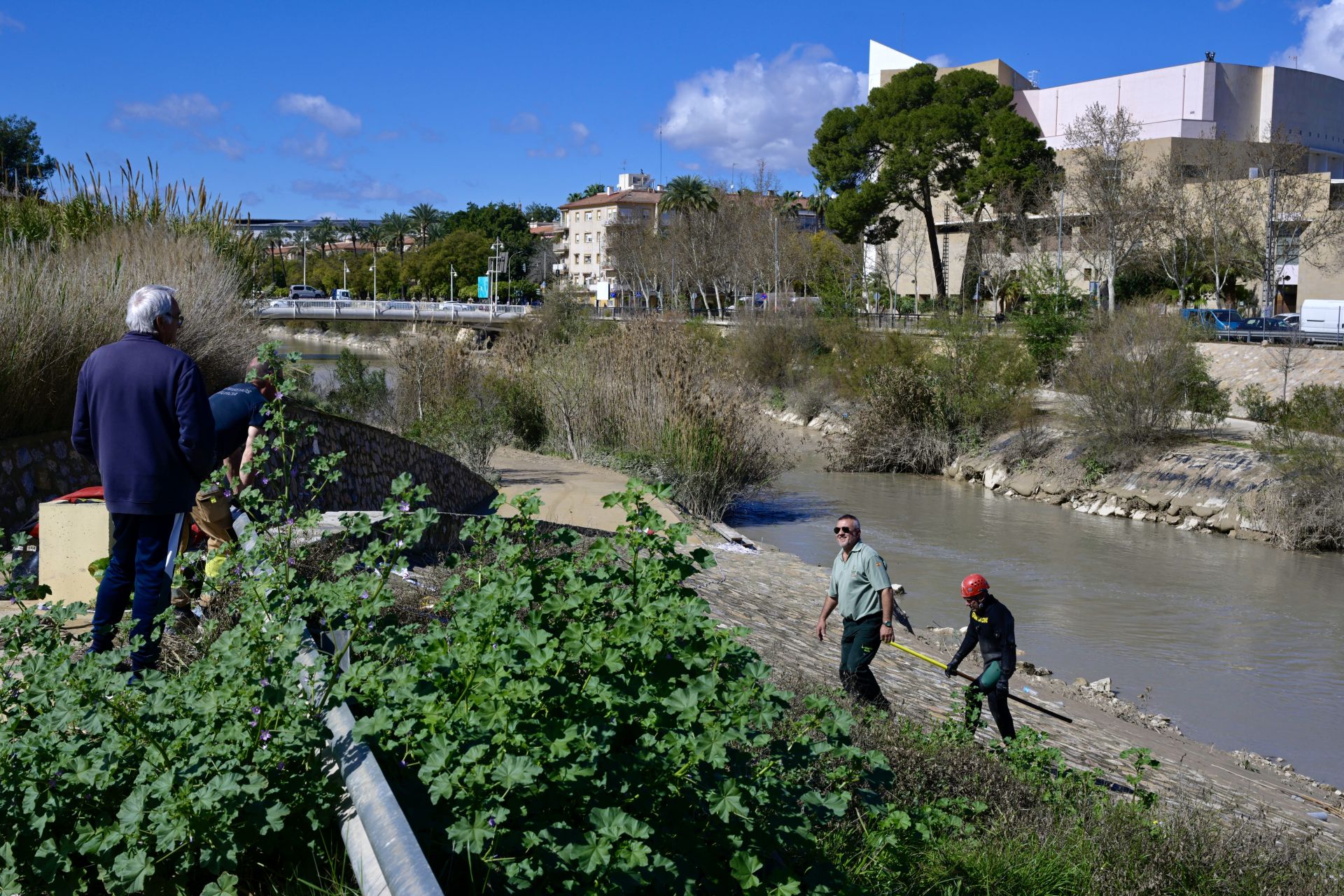 Imágenes del cuarto día de búsqueda de un hombre en el río Segura