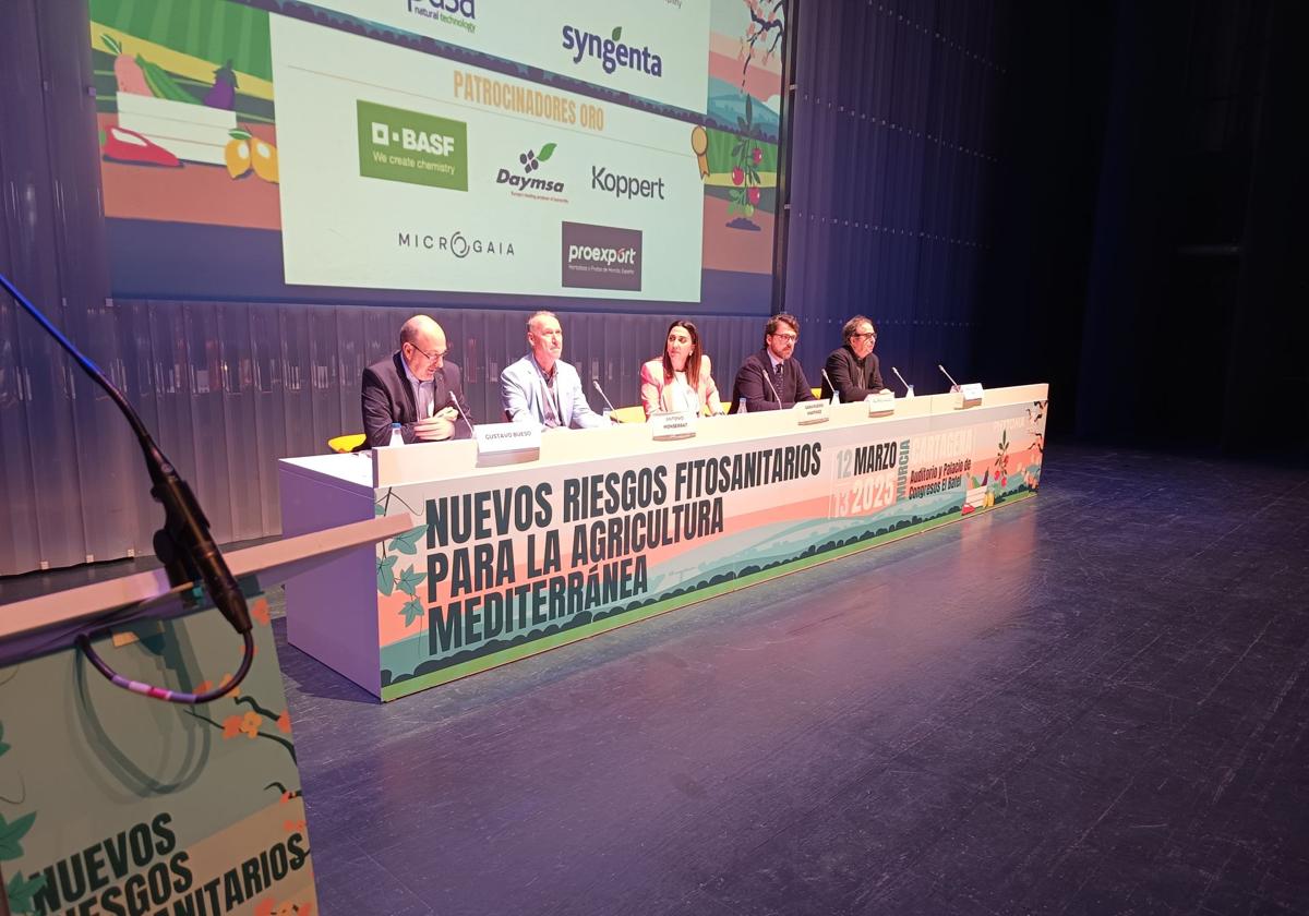 La consejera, Sara Rubira, en la inauguración de la Jornada 'AgroMurcia', este miércoles.