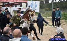 Una de las peñas caballistas durante una de las carreras en la Cuesta de Entrenamiento
