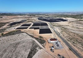 Vista panorámica de los paneles que tiene la planta.