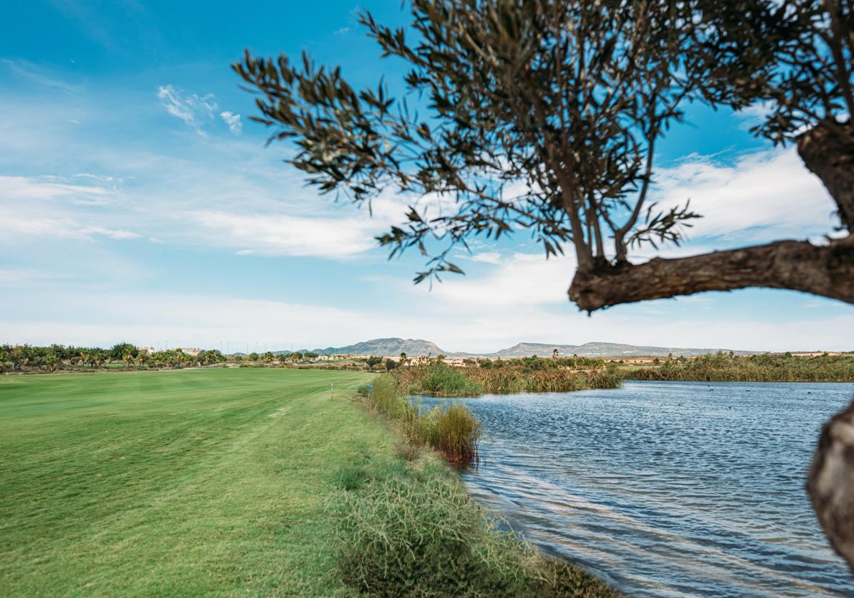 Panorámica del campo murciano de New Sierra Golf.