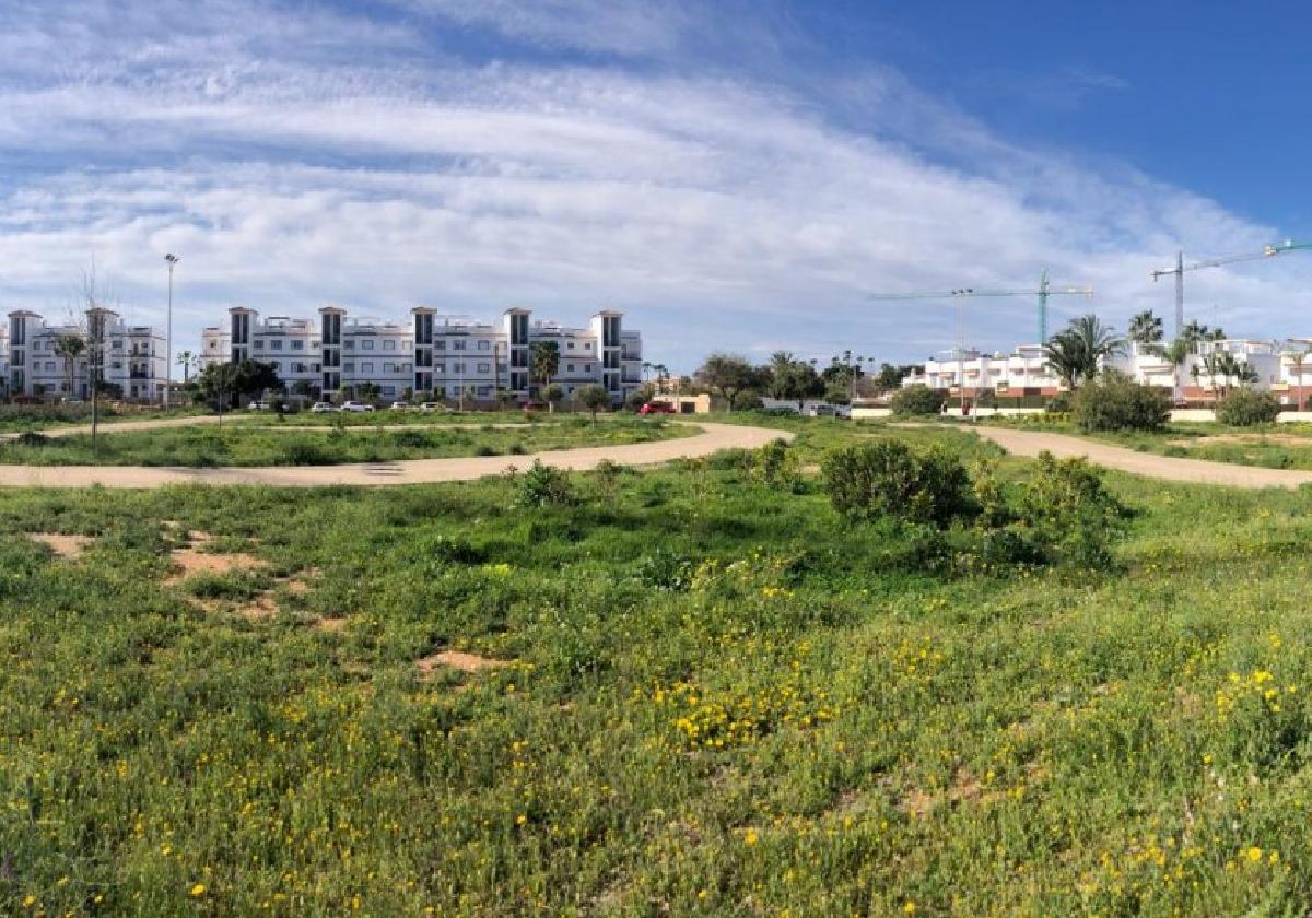 Estado que presenta la parcela del parque de educación vial tras dos décadas de abandono.