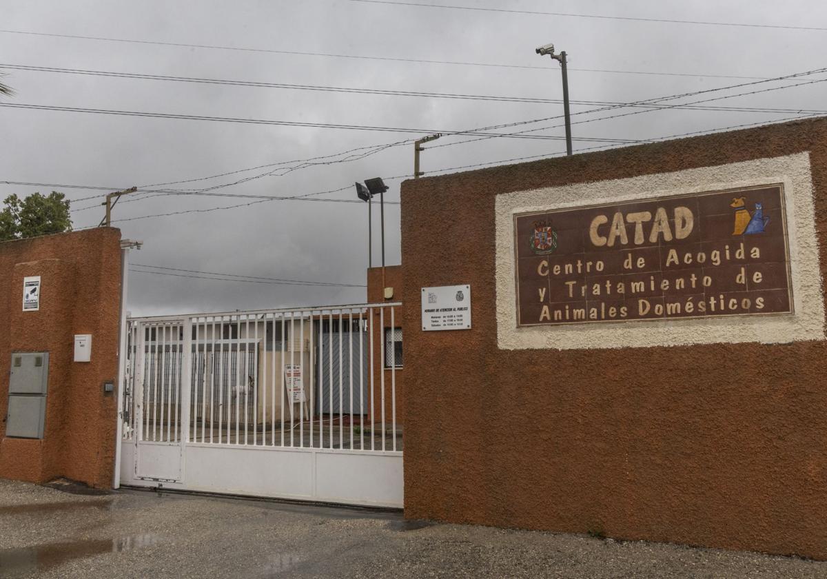 Acceso principal a las instalaciones del centro municipal de acogida de animales, ubicado en una parcela próxima a Molinos Gallegos y al polígono Cabezo Beaza.