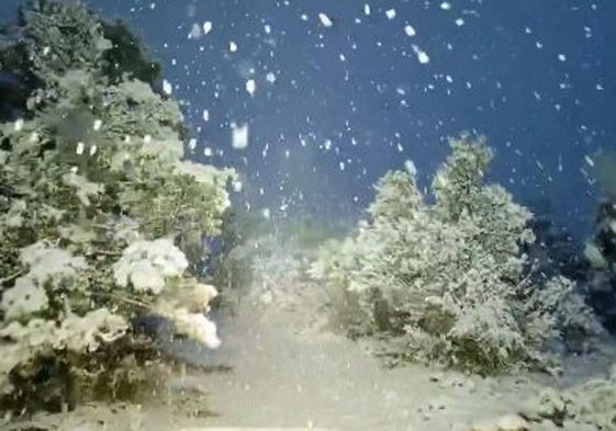 Captura de pantalla del vídeo en el que se muestra la nieve cayendo sobre el Macizo de Revolcadores.