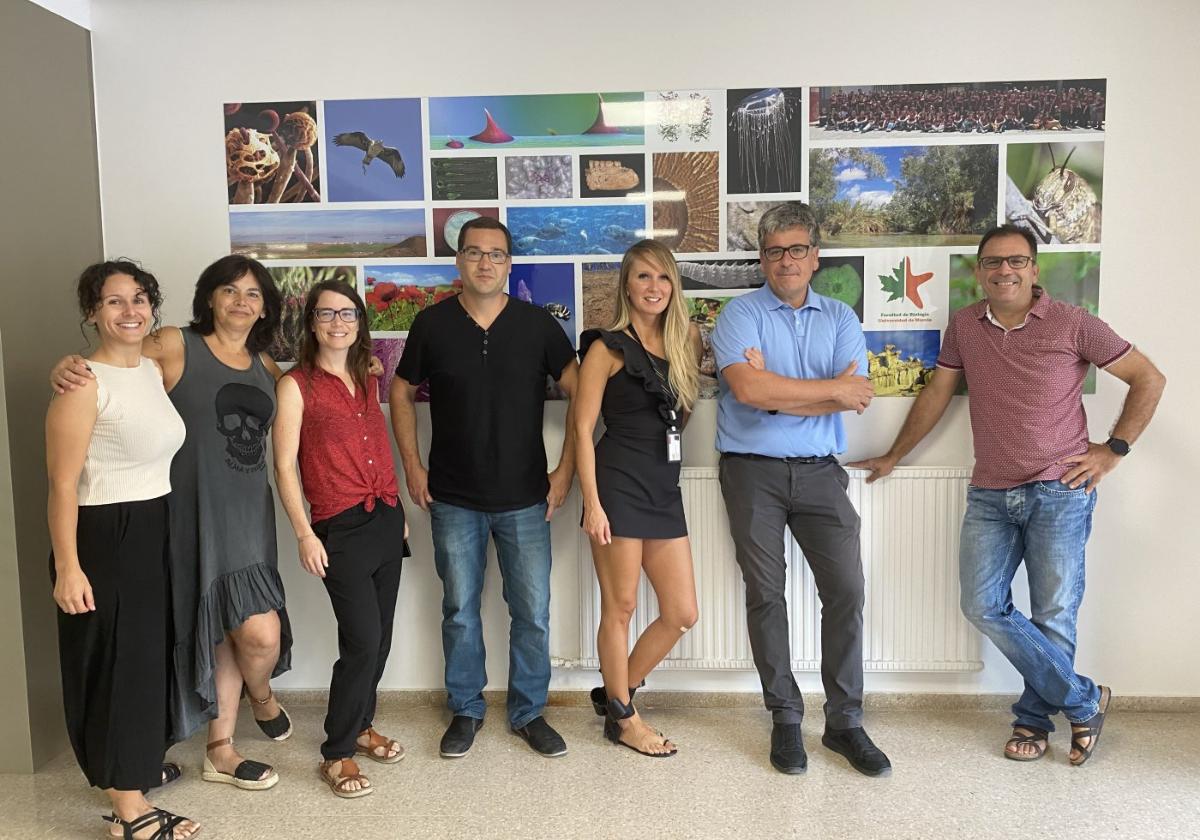 Descubren un biomarcador de gravedad de covid en mayores