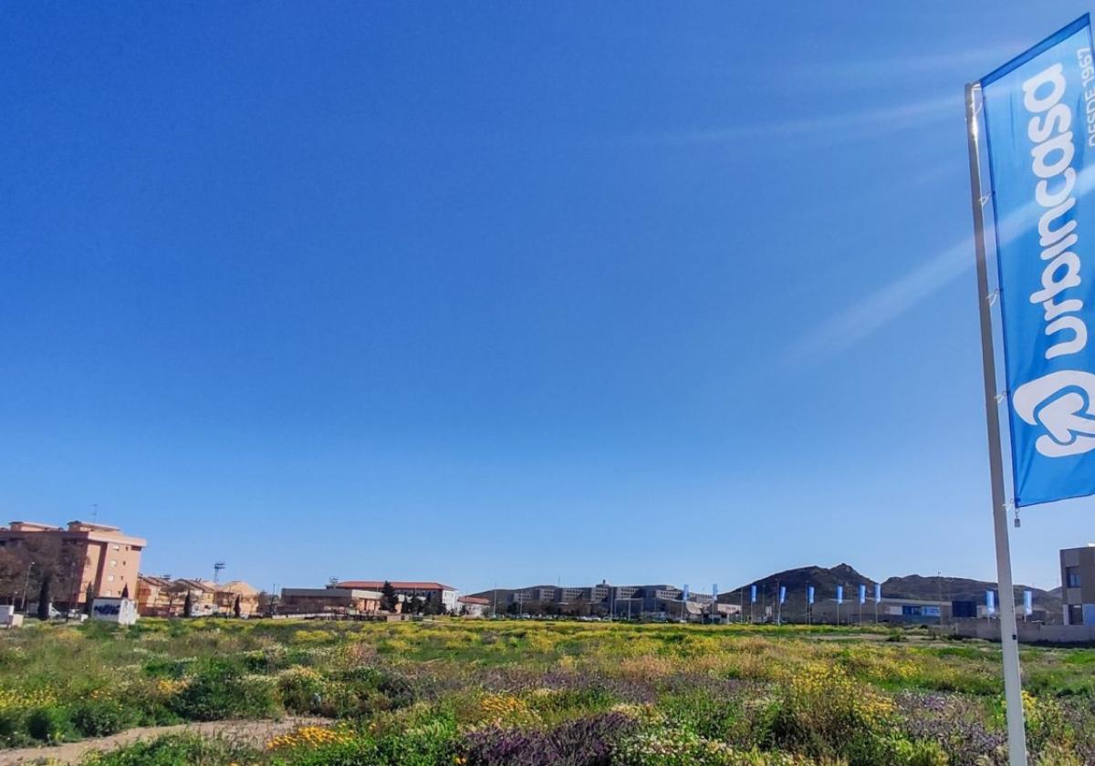 Terreno sobre el que se ubicará el nuevo residencial de Urbincasa.