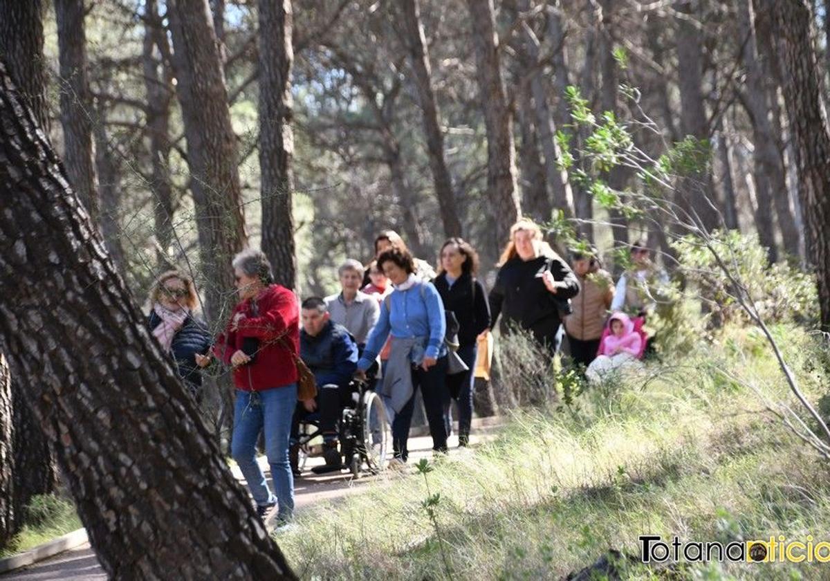 JC PALETS organiza una ruta accesible con motivo del Día Internacional de los Bosques