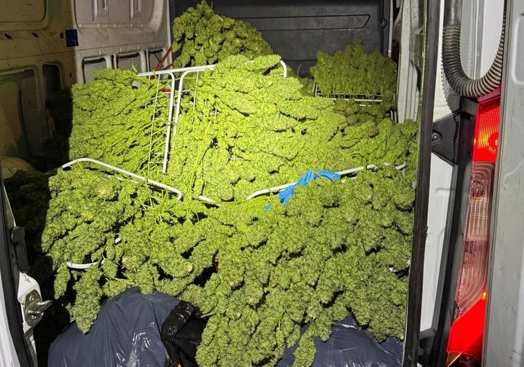 El furgón cargado con 110 kilogramos de cogollos de marihuana.