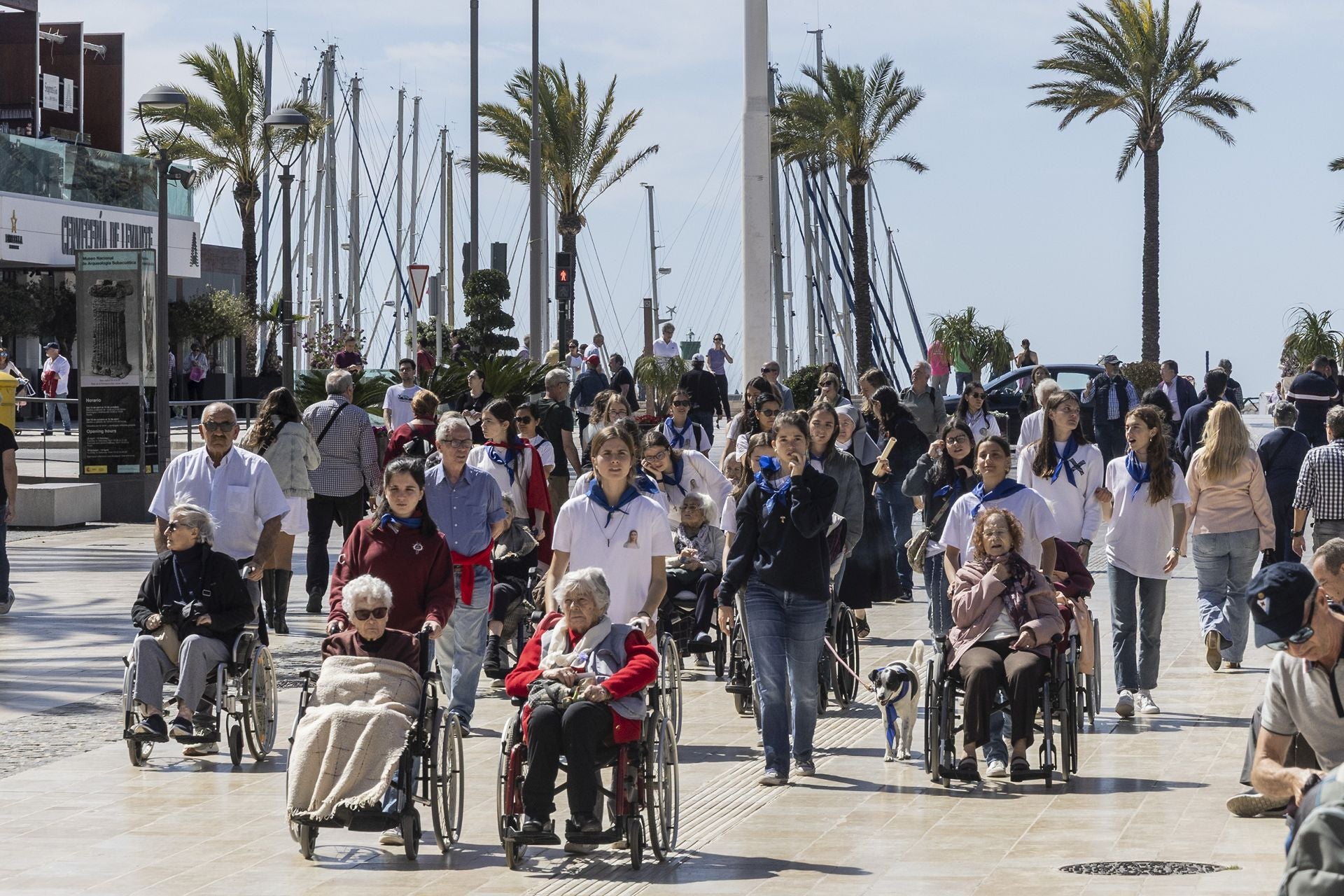 Las imágenes de los turistas en Cartagena