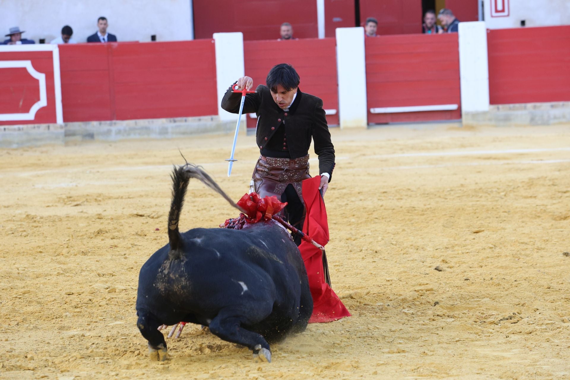La corrida de toros de Lorca, en imágenes