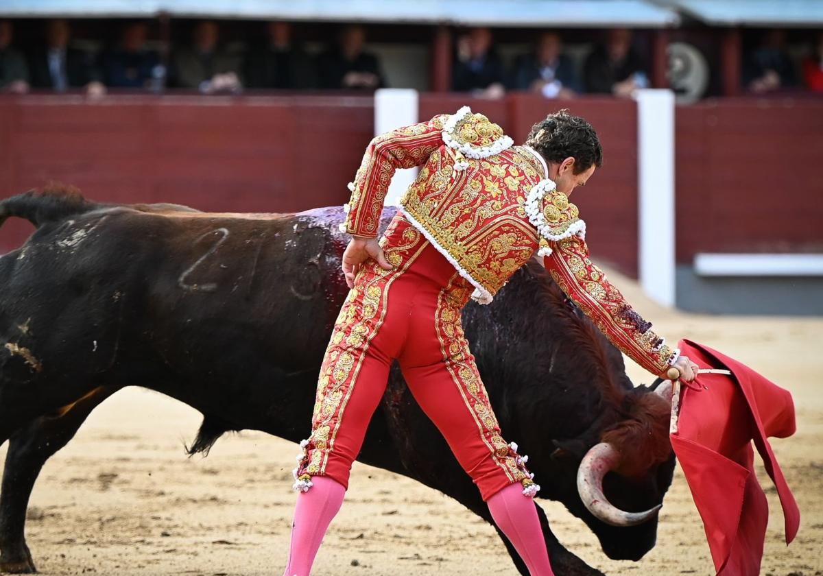 Imagen de Galeria 