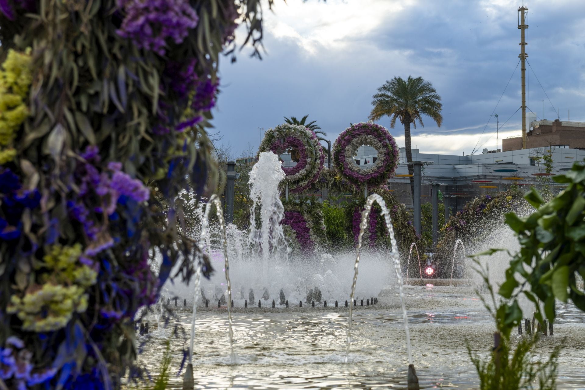 La primavera explota en las plazas de Murcia, en imágenes