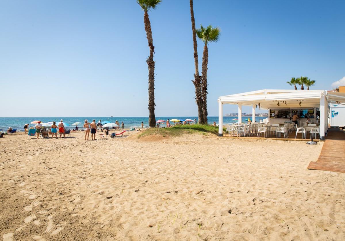 Dos de los diez chiringuitos ofertados en Torrevieja se encuentran en La Mata