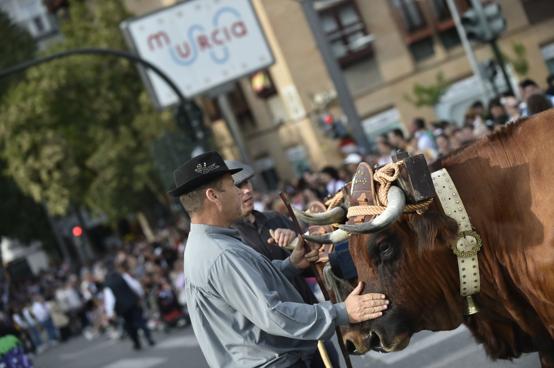 El desfile del Bando de la Huerta de Murcia, en imágenes