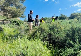 Los concejales de Parques y Jardines y Medio Ambiente supervisan los trabajos de reforestación con trabajadoras de los consejos comarcales de empleo.