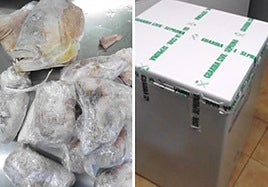 El pescado incautado.