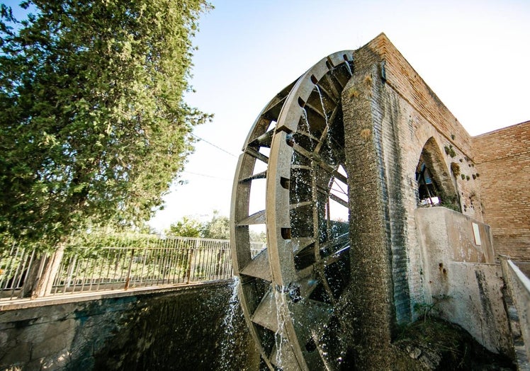 Rueda de La Ñora, sobre la acequia mayor de Aljufía.