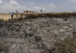 El fuego arrasa 25 hectáreas de espacio natural.