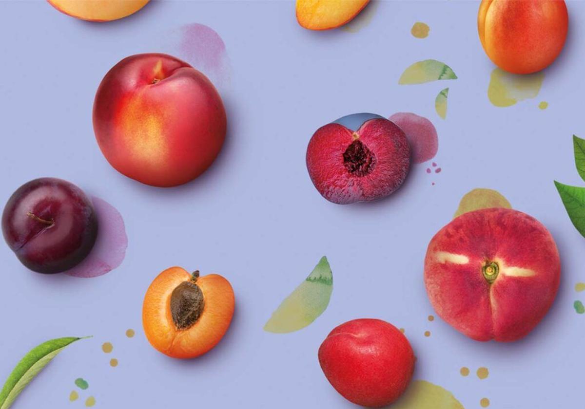 La empresa murciana PSB Producción Vegetal impulsará su expansión con la entrada en su capital de Cibus Fund II