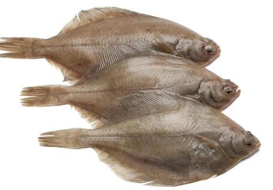 Lenguados
