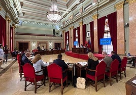 Pleno en el Ayuntamiento de Murcia.