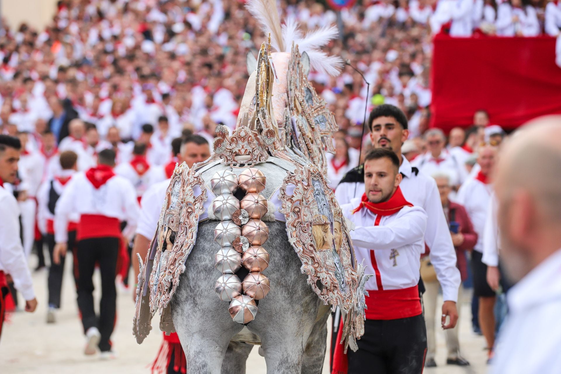 La jornada de la carrera de los Caballos del Vino, en imágenes