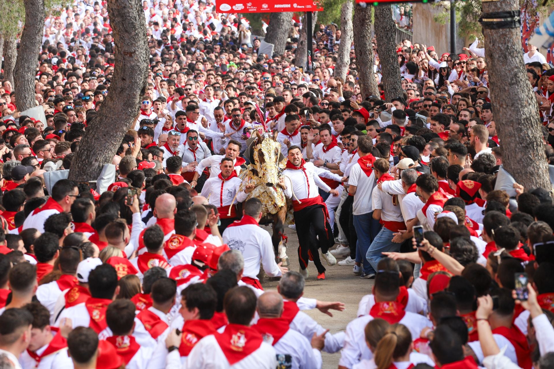 La carrera de los Caballos del Vino 2025, en imágenes