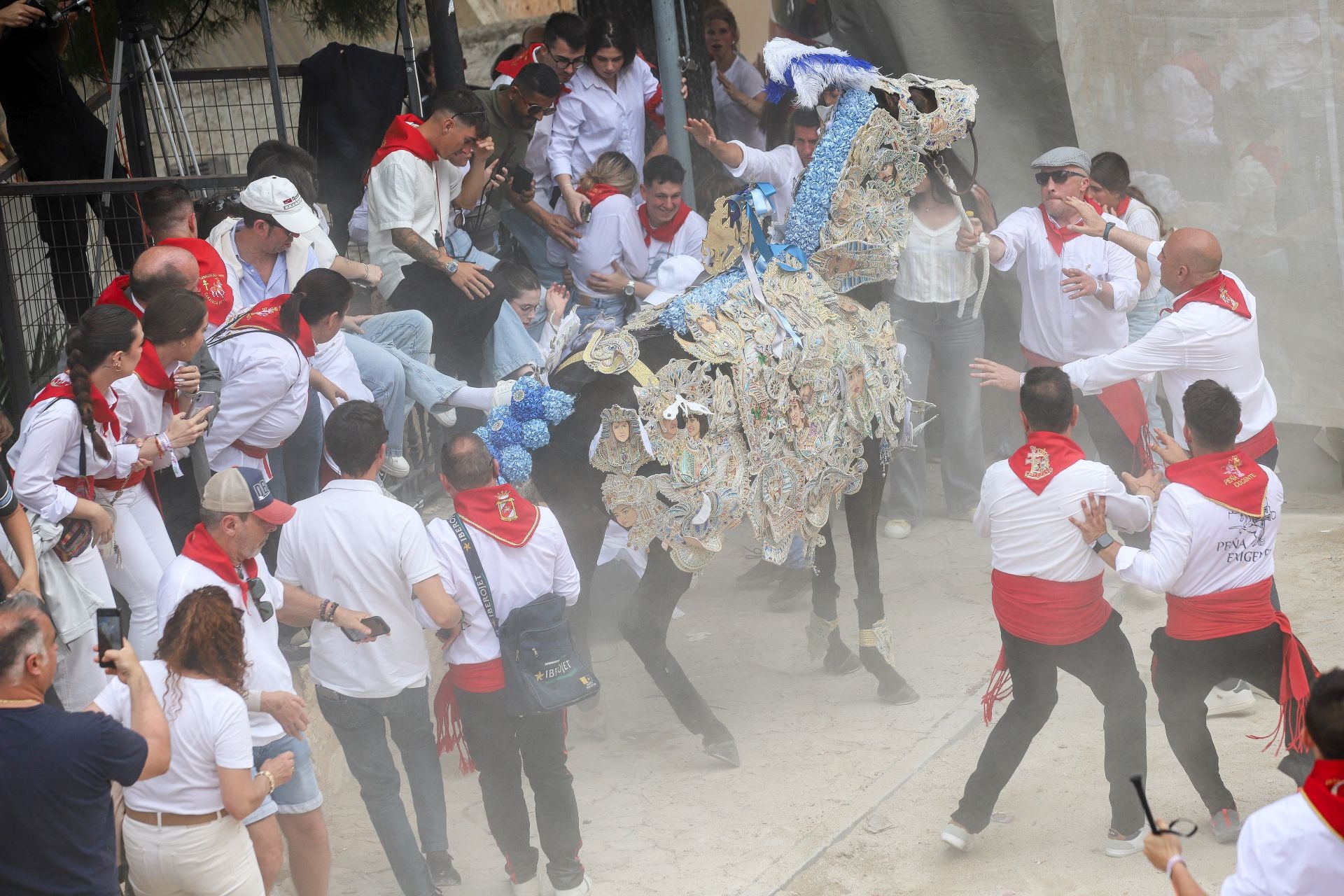 La carrera de los Caballos del Vino 2025, en imágenes
