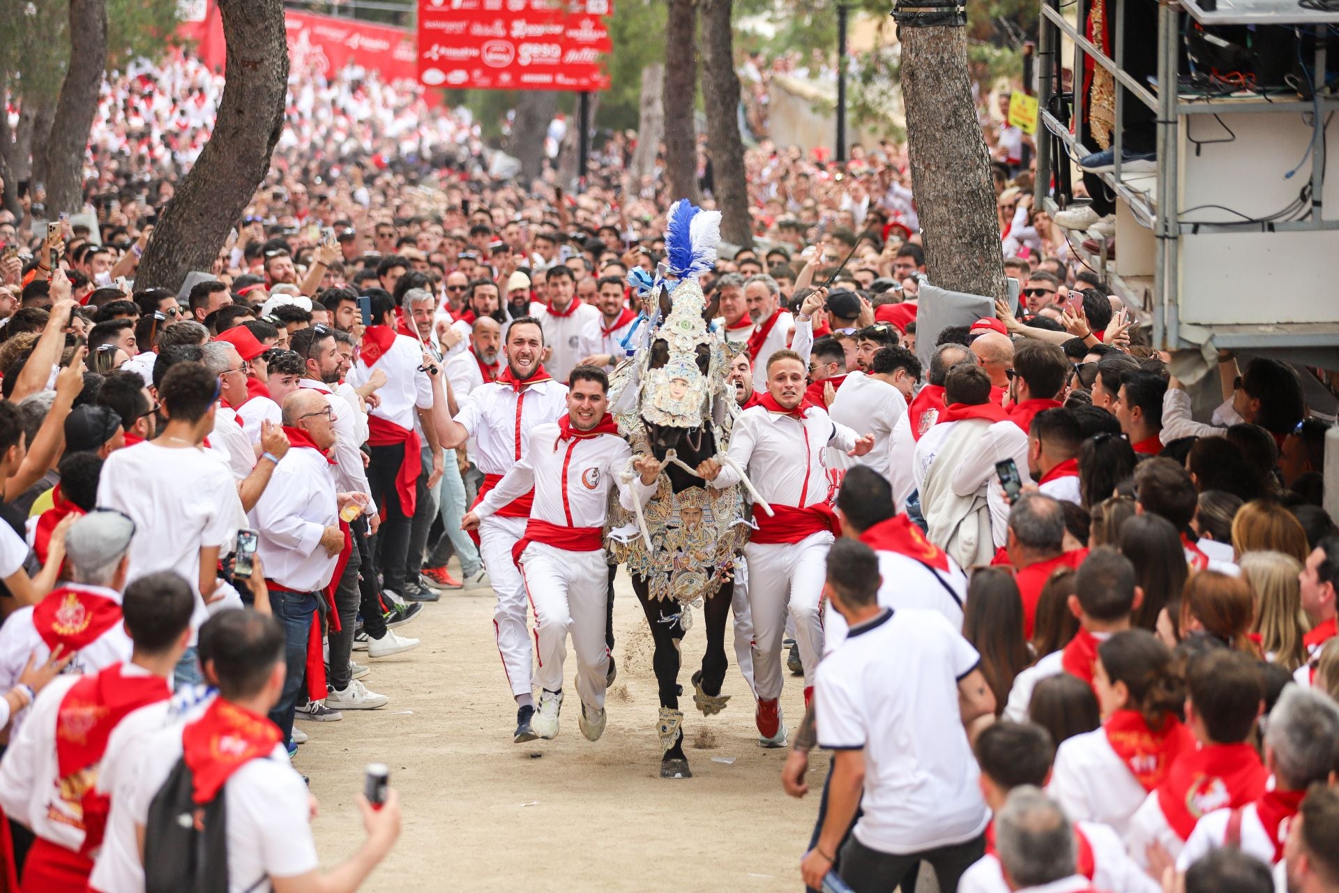 La carrera de los Caballos del Vino 2025, en imágenes