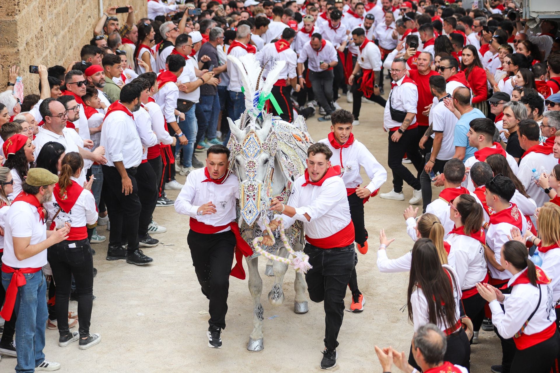 La carrera de los Caballos del Vino 2025, en imágenes