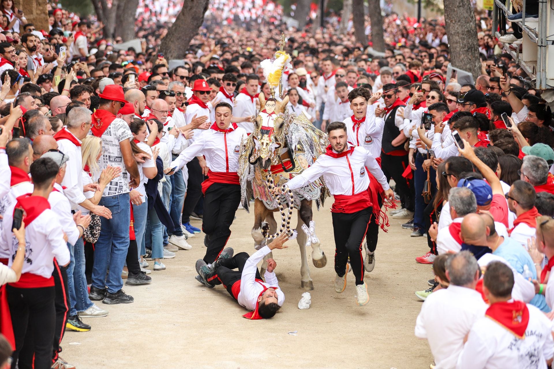 La carrera de los Caballos del Vino 2025, en imágenes