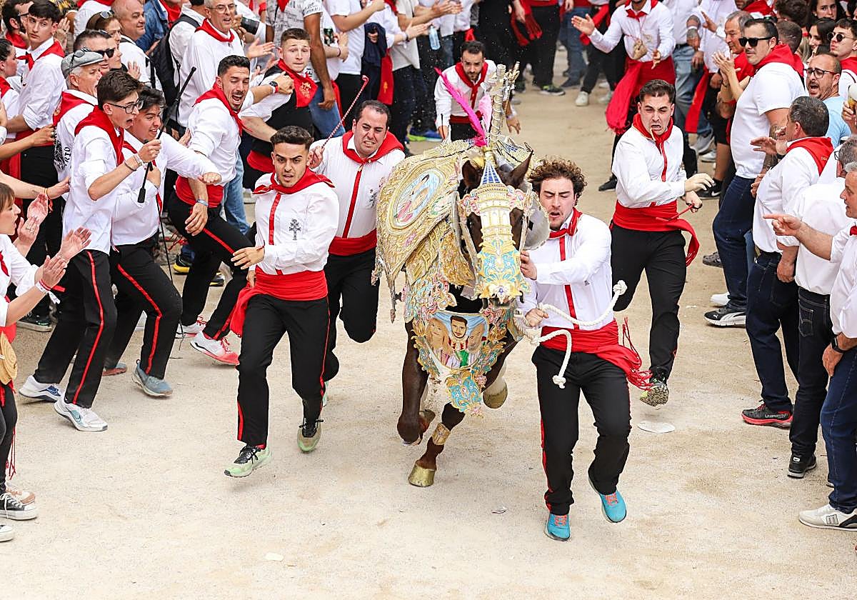 La carrera de los Caballos del Vino 2025, en imágenes