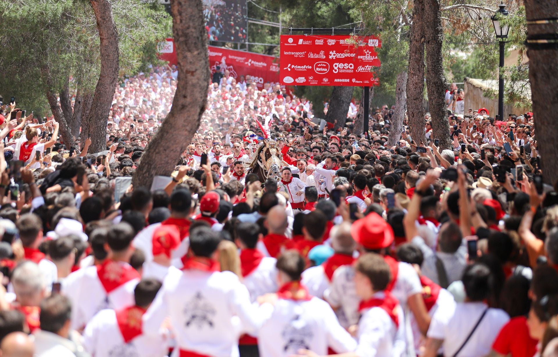 La carrera de los Caballos del Vino 2025, en imágenes