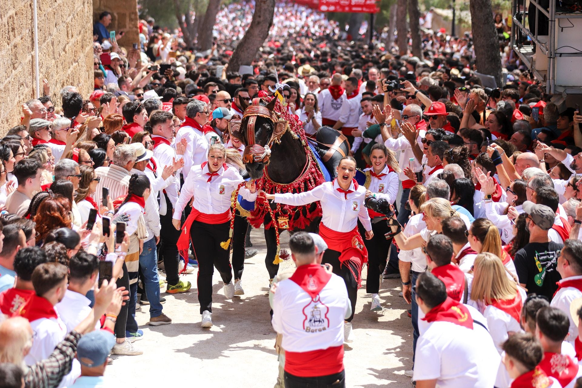 La carrera de los Caballos del Vino 2025, en imágenes