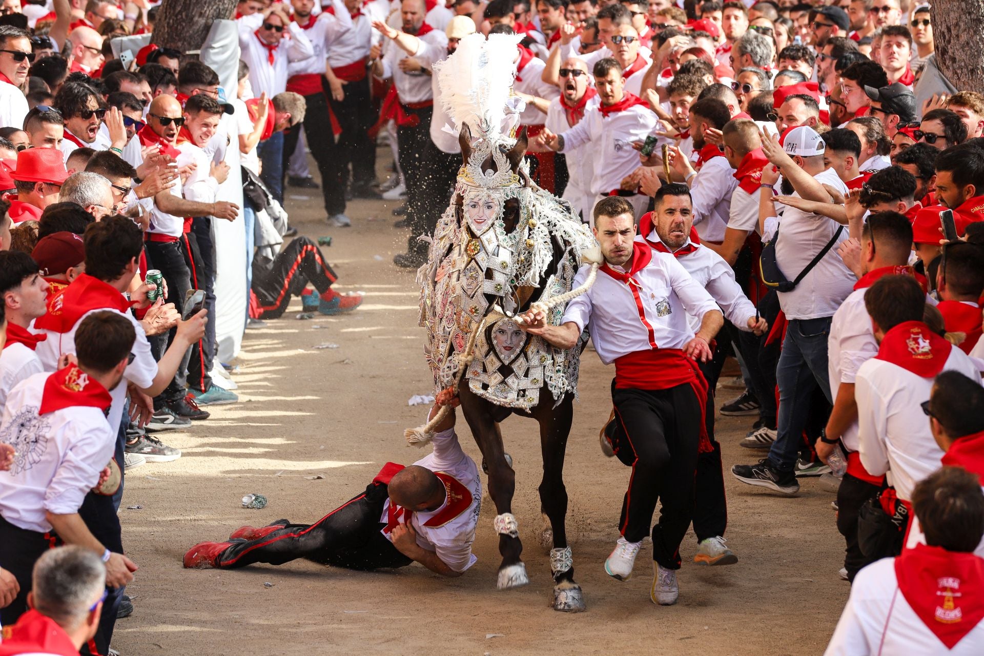 La carrera de los Caballos del Vino 2025, en imágenes