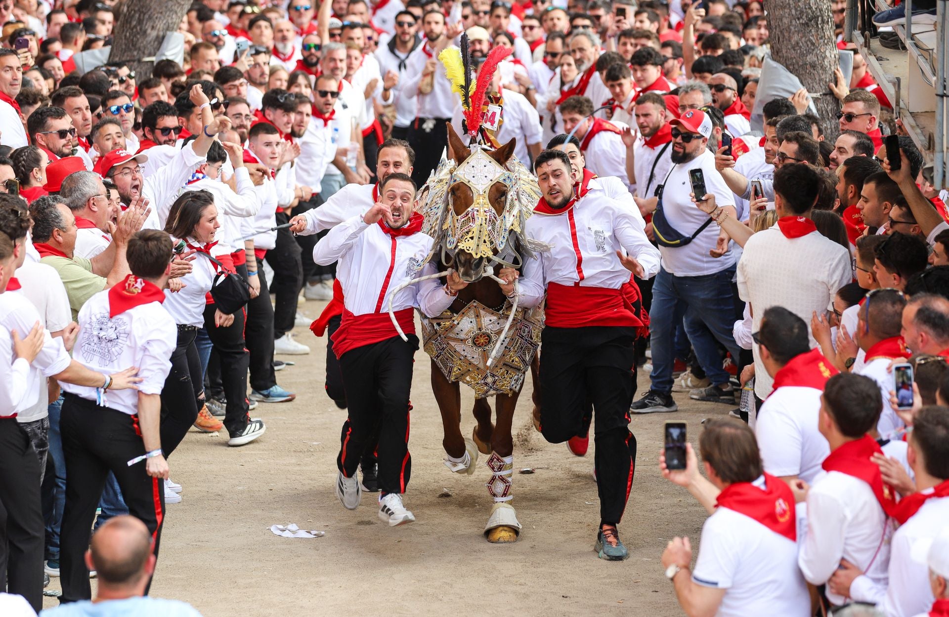 La carrera de los Caballos del Vino 2025, en imágenes