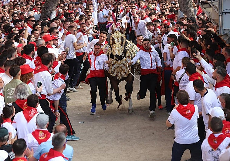 La peña Calimocho, con el caballo 'Star of Bengal', al finalizar la carrera.
