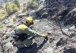 Un efectivo de emergencias examina los rescoldos tras el incendio.