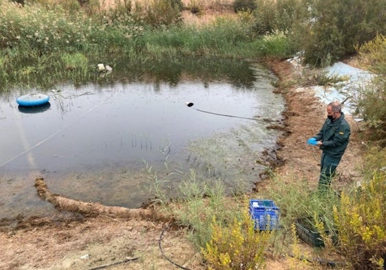 Un agente del Seprona, durante la inspección de una de las fincas afectadas por los residuos.