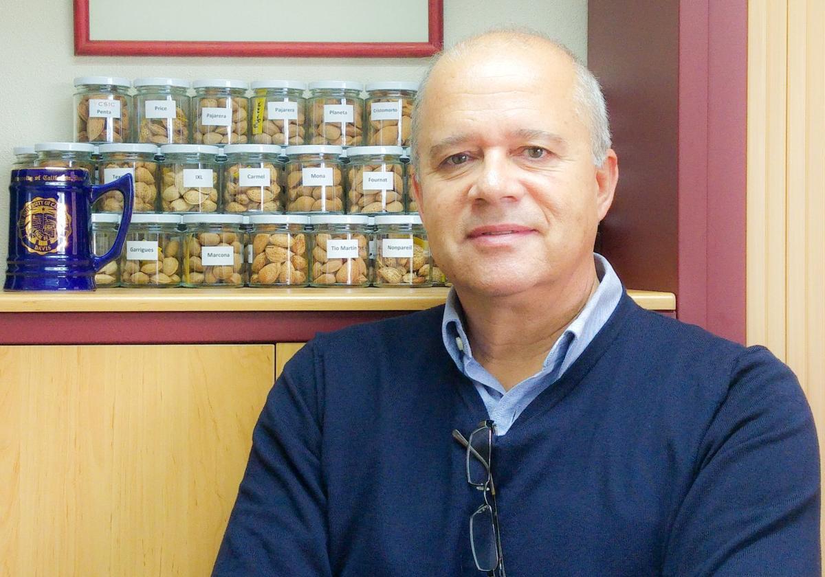 Federico Dicenta«La industria española necesita producir el doble de almendra»