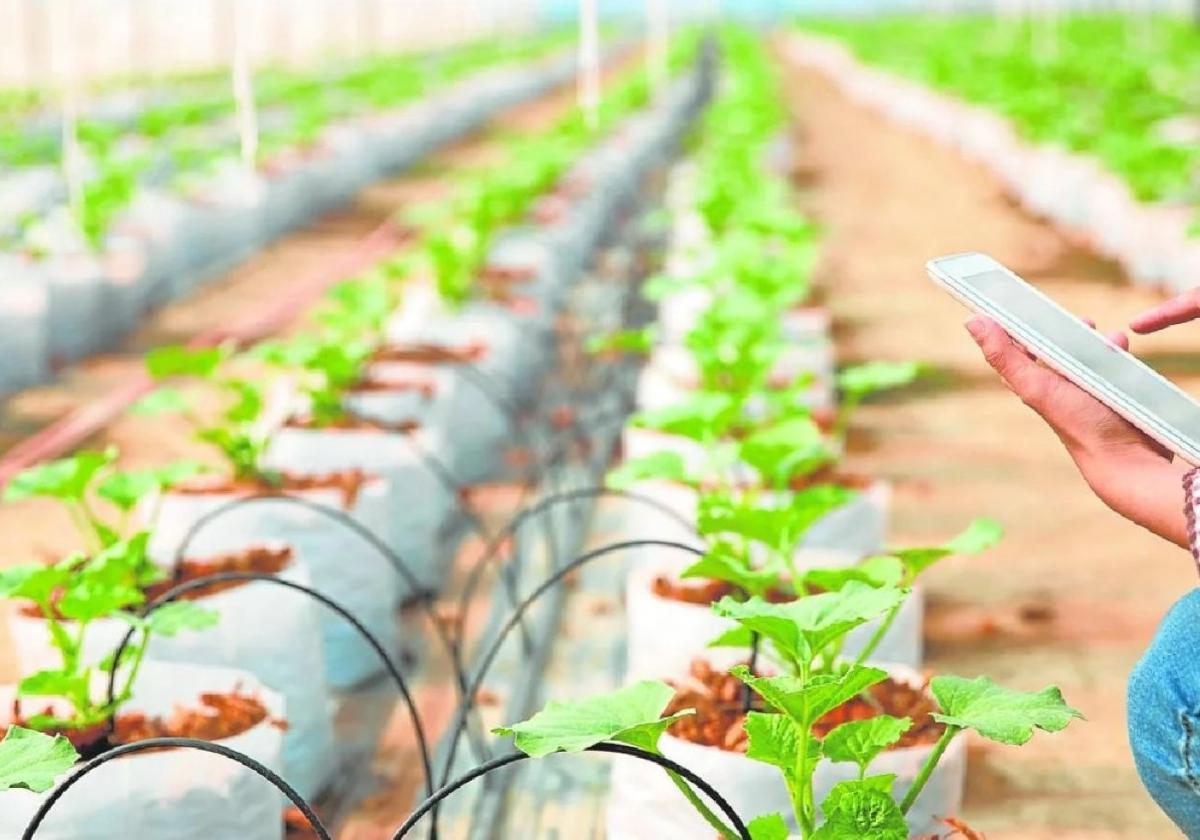 El nexo agua, energía y alimentos bajo la lupa de la universidad | la verdad